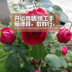 开运竞猜