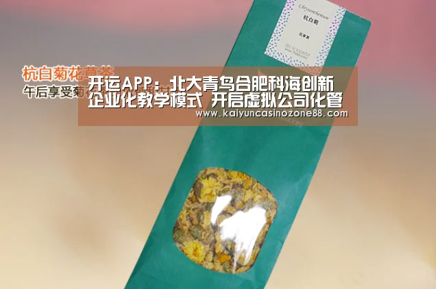开运APP:北大青鸟合肥科海创新企业化教学模式 开启虚拟公司化管理(图3) 开运竞猜