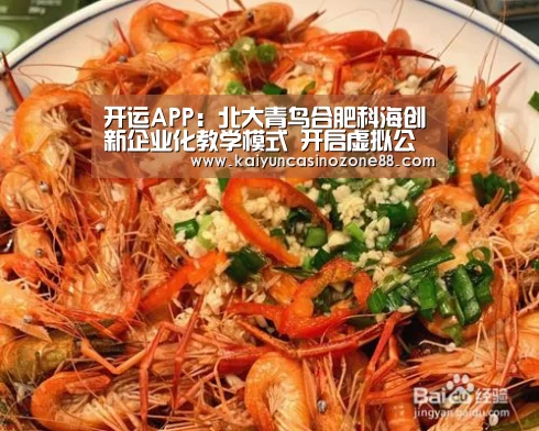 开运APP:北大青鸟合肥科海创新企业化教学模式 开启虚拟公司化管理(图2) 开运竞猜