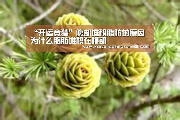 开运赛事
