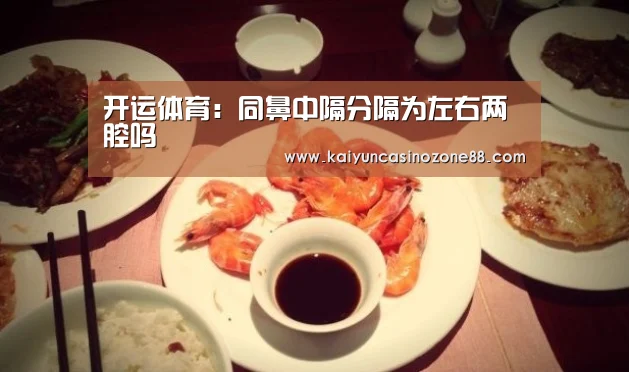 开运体育:同鼻中隔分隔为左右两腔吗(图3) 开运竞猜