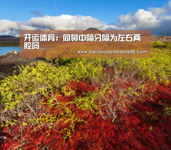 开运体育:同鼻中隔分隔为左右两腔吗(图2) 开运赛事